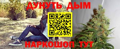 крисы Кинель